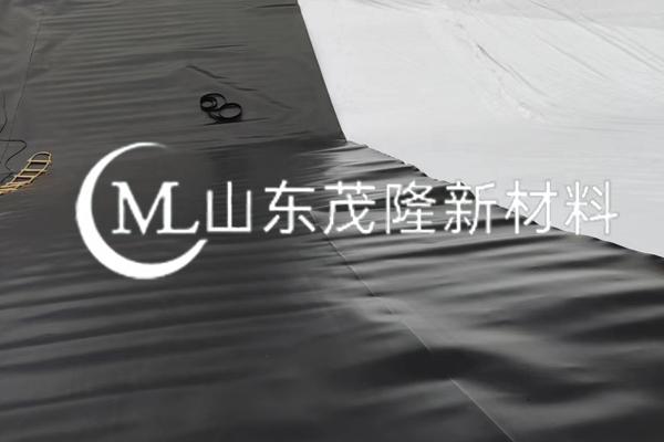 《牌樓繁育場(chǎng)項(xiàng)目》 HDPE土工膜施工